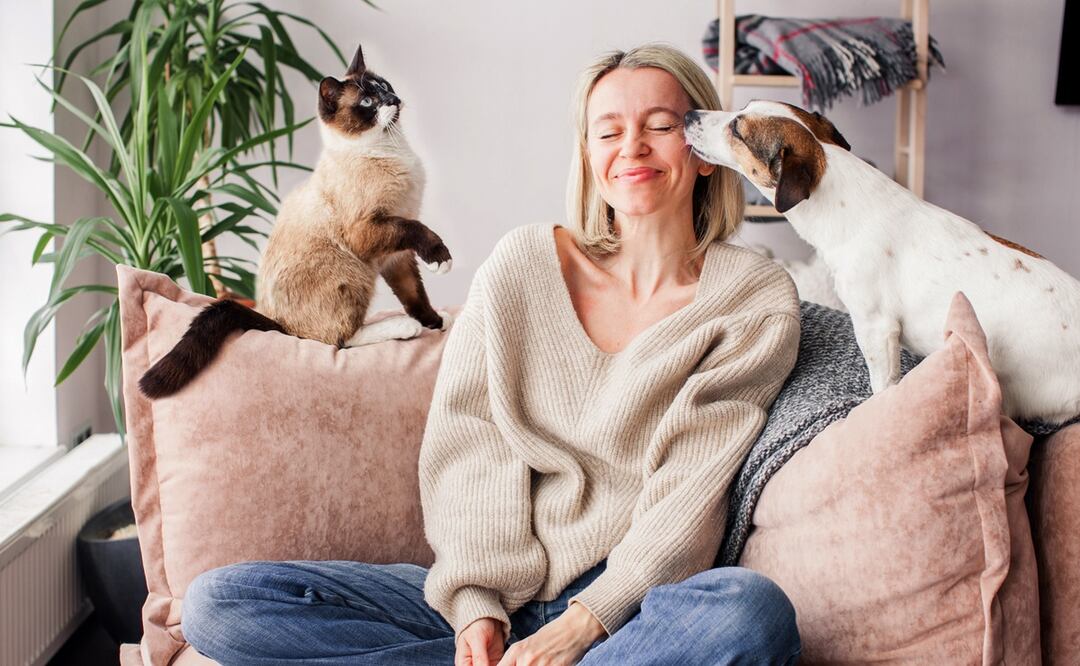 ¿Tienen poderes curativos? Así es como nuestras mascotas mejoran nuestra vida y salud. Foto: iStock-TatyanaGl
