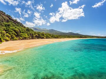 6 playas cristalinas y hermosas para conocer en Estados Unidos
