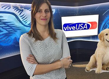 ¿Cómo viajar con tus mascotas?