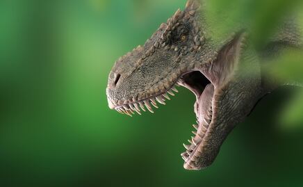 Dinosaur, el parque de EU donde puedes ver restos de dinosaurios