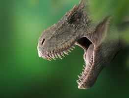 Dinosaur, el parque de EU donde puedes ver restos de dinosaurios