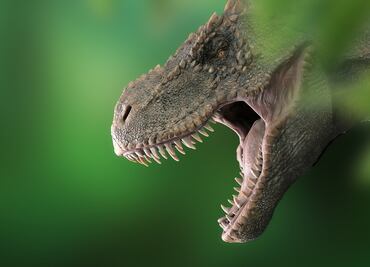 Dinosaur, el parque de EU donde puedes ver restos de dinosaurios