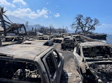Catástrofe en Hawái: Incendios han dejado un saldo de 53 muertos y miles de personas sin hogar