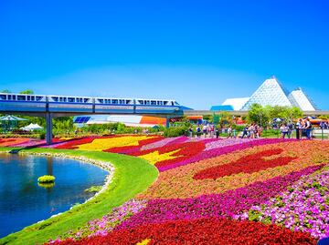 Explora Orlando, Florida, con estas actividades y paseos virtuales