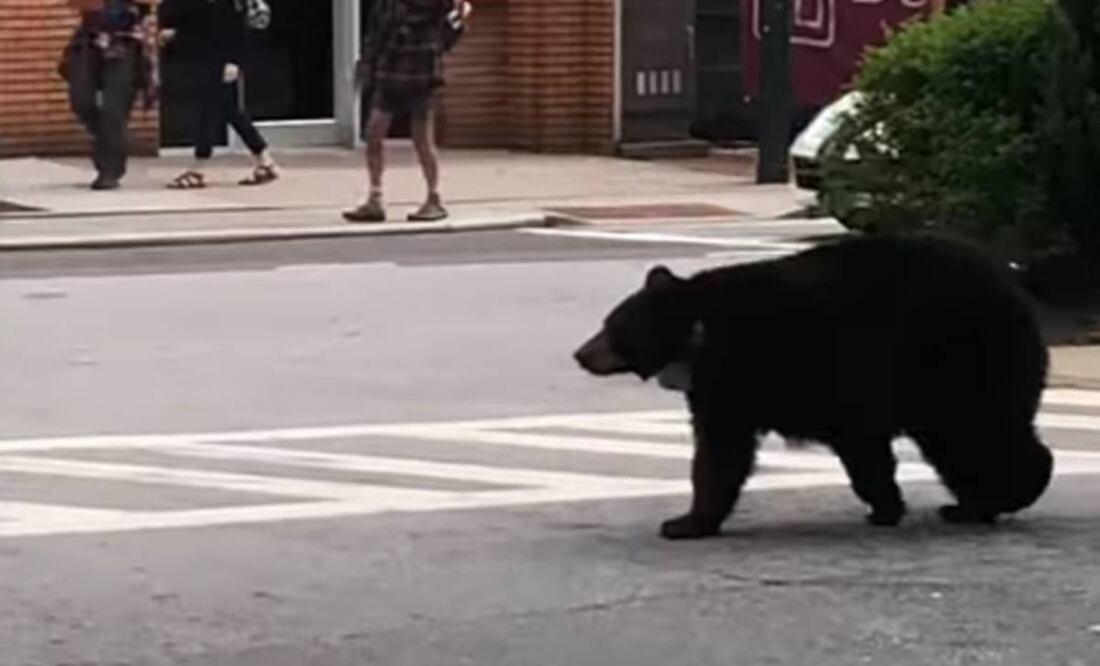 Foto tomada de video