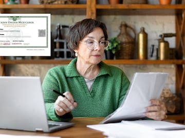 ¿Cómo sacar la CURP certificada y actualizada de 2024? Paso a paso