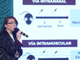 Covid-19. México recluta voluntarios para probar su vacuna “Patria”