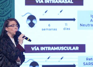 Covid-19. México recluta voluntarios para probar su vacuna “Patria”