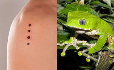 Actriz muere en retiro espiritual tras intoxicación con veneno de rana. ¿Qué es Kambó?