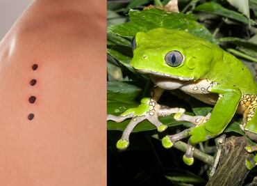 Actriz muere en retiro espiritual tras intoxicación con veneno de rana. ¿Qué es Kambó?