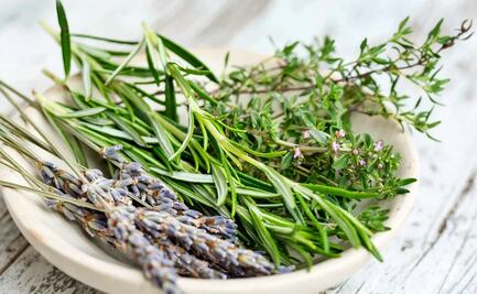 5 beneficios que aporta a la salud comer romero