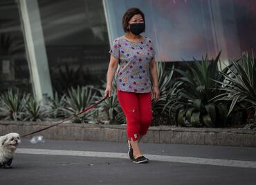 Coronavirus. Perros y gatos pueden contagiarse de sus dueños