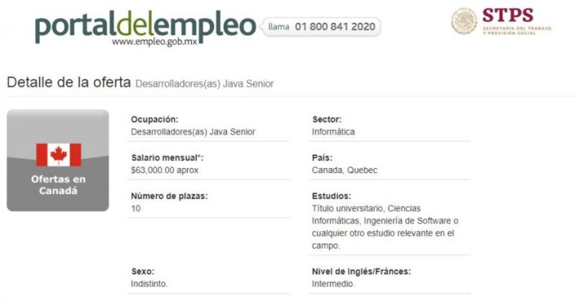 Buscan desarrolladores Java mexicanos para trabajar en Canadá