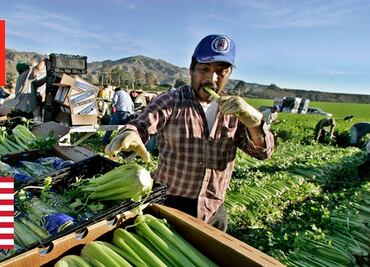 Programas para trabajadores agrícolas en Estados Unidos y Canadá