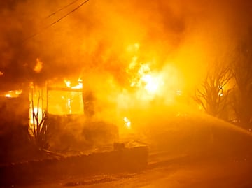 Encuentran anillo sobreviviente a dos incendios de California en 50 años