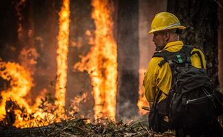 ¿Qué hacer en caso de un incendio forestal?
