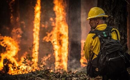 ¿Qué hacer en caso de un incendio forestal?