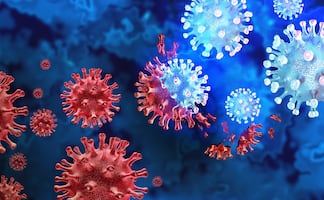 ¿Peste neumónica en Rusia? Muere trabajadora de laboratorio y autoridades descartan la enfermedad