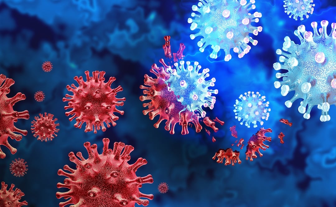 ¿Peste neumónica en Rusia? Muere trabajadora de laboratorio y autoridades descartan la enfermedad Foto: iStock