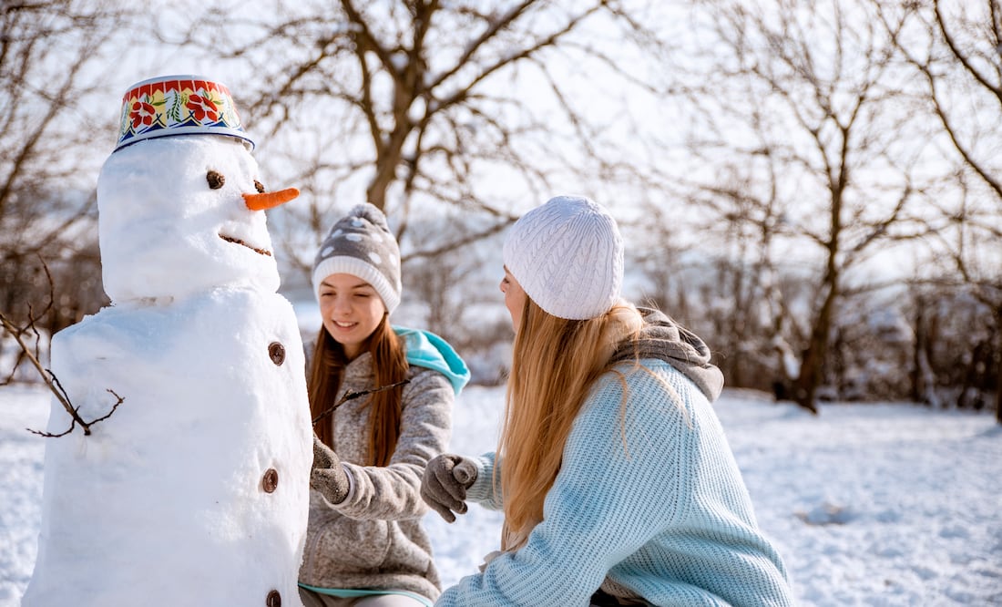 5 lugares para ver nieve en México durante la temporada invernal. iStock/Biserka Stojanovic