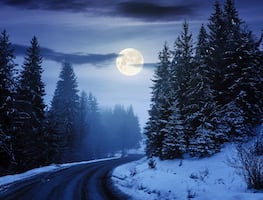 Solsticio de diciembre, Luna llena fría y cuatro lluvias de meteoritos; los eventos imperdibles del mes