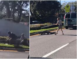 Video. Cocodrilo escapa de camioneta transportadora y causa caos en Florida