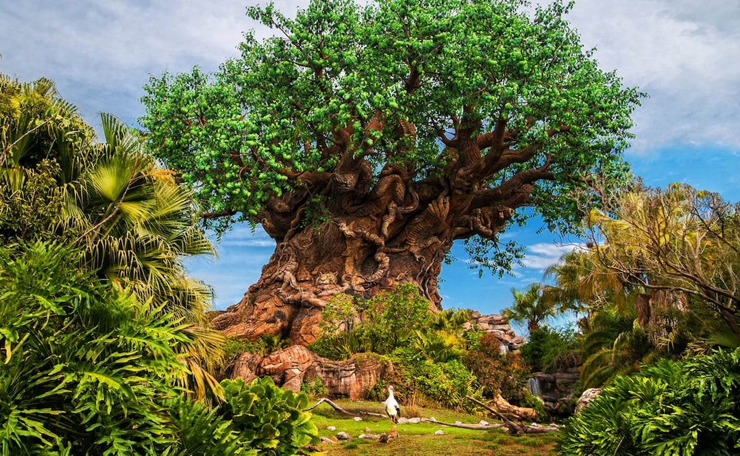 Cortesía de Disney World Latino y ADNova