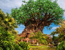 9 experiencias para celebrar el Día de la Tierra en Disney World