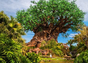 9 experiencias para celebrar el Día de la Tierra en Disney World