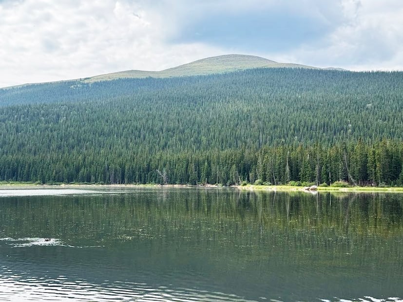 Rocky Mountain National Park desde Denver.