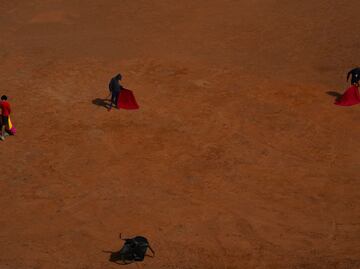 Corridas de toros en la Plaza México. Fechas y quiénes serán los matadores del 'Serial de Reapertura'