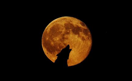 Luna llena del Cazador 2022, ¿por qué se llama así y cuándo verla?