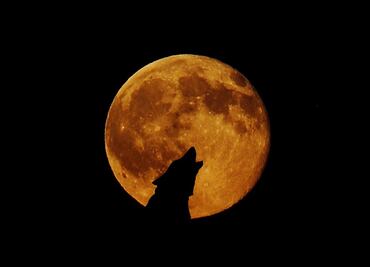 Luna llena del Cazador 2022, ¿por qué se llama así y cuándo verla?