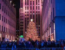 Árbol de Navidad del Rockefeller Center: ¿Cuánto medirá el abeto que iluminará el centro de Manhattan?