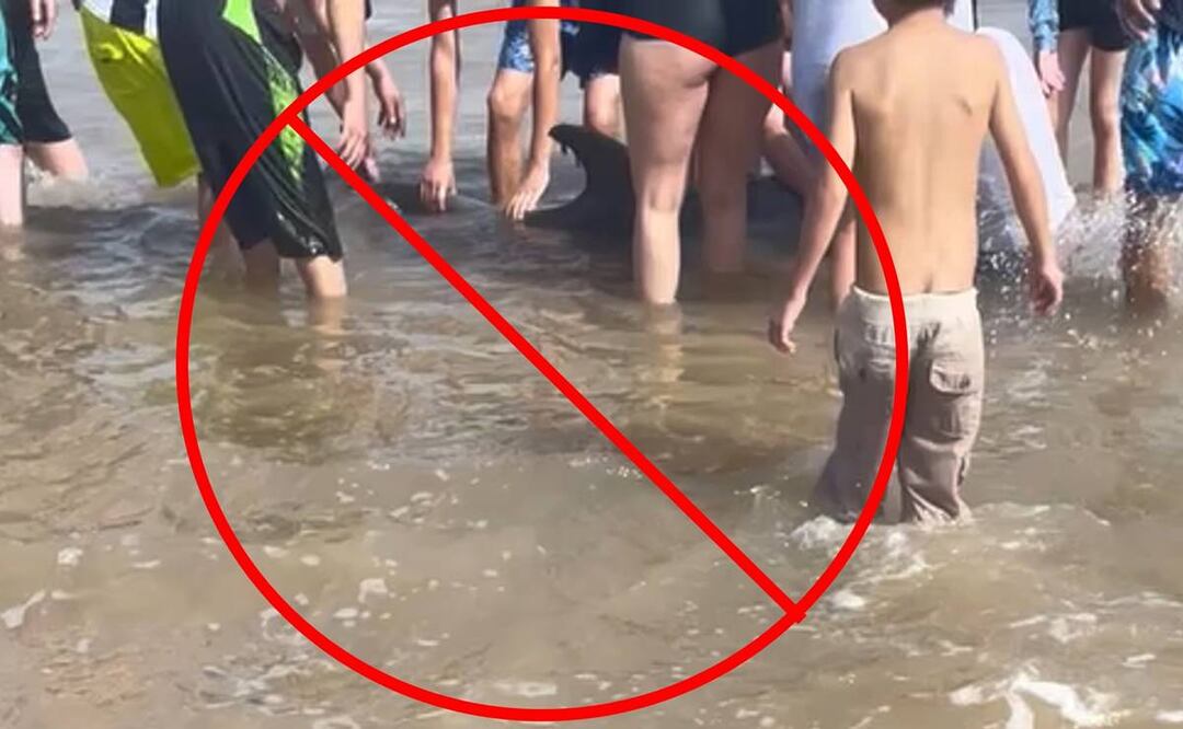 Foto: Facebook Texas Marine Mammal Stranding Network