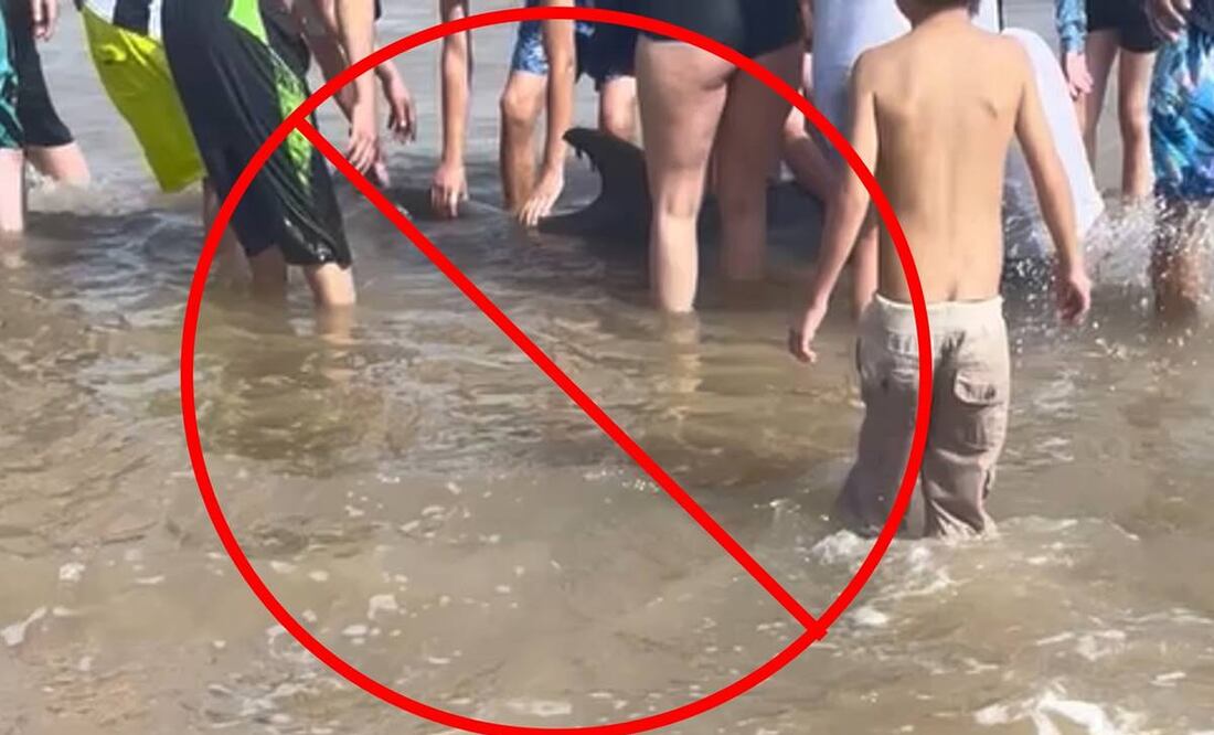 Foto: Facebook Texas Marine Mammal Stranding Network