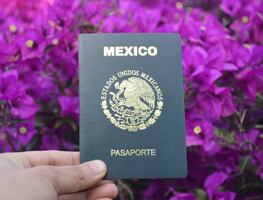 ¿En qué momento debo renovar mi pasaporte normal al electrónico?