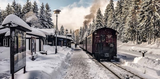 Maravíllate con los paisajes de EU a bordo de un tren navideño