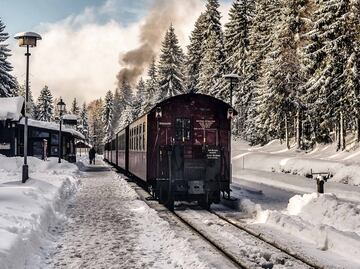 Maravíllate con los paisajes de EU a bordo de un tren navideño