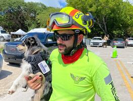 Oreo, la perrita que busca sobreviventes en edificio de Miami