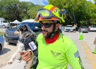 Oreo, la perrita que busca sobreviventes en edificio de Miami