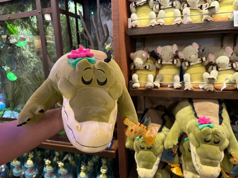Tiana's Bayou Adventure/ Magic Kingdom