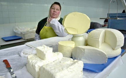 Quesos y otros lácteos, ¿alimentos saludables? Esto dice Harvard