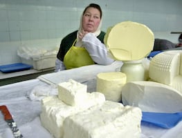 Quesos y otros lácteos, ¿alimentos saludables? Esto dice Harvard