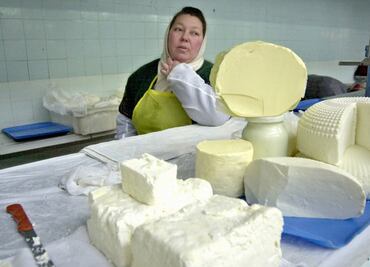 Quesos y otros lácteos, ¿alimentos saludables? Esto dice Harvard