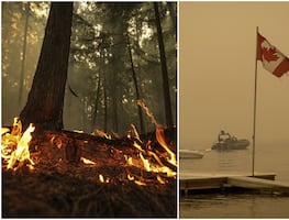 Cambio climático multiplicó siete veces la probabilidad de incendios en Canadá en 2023