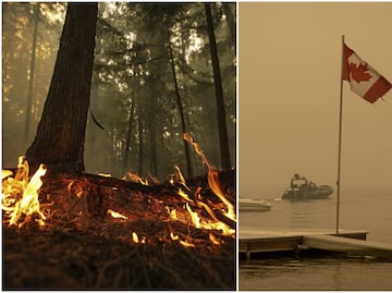 Cambio climático multiplicó siete veces la probabilidad de incendios en Canadá en 2023