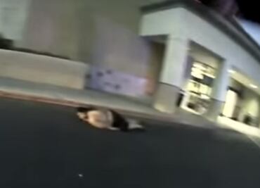 Despiden a policía de California por patear a ladrón en la cabeza