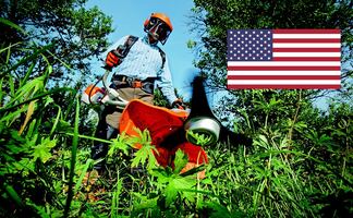 La visa que necesitas para trabajar como jardinero en Estados Unidos