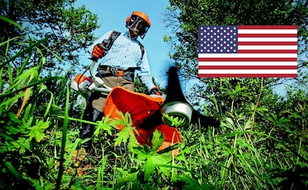 La visa que necesitas para trabajar como jardinero en Estados Unidos